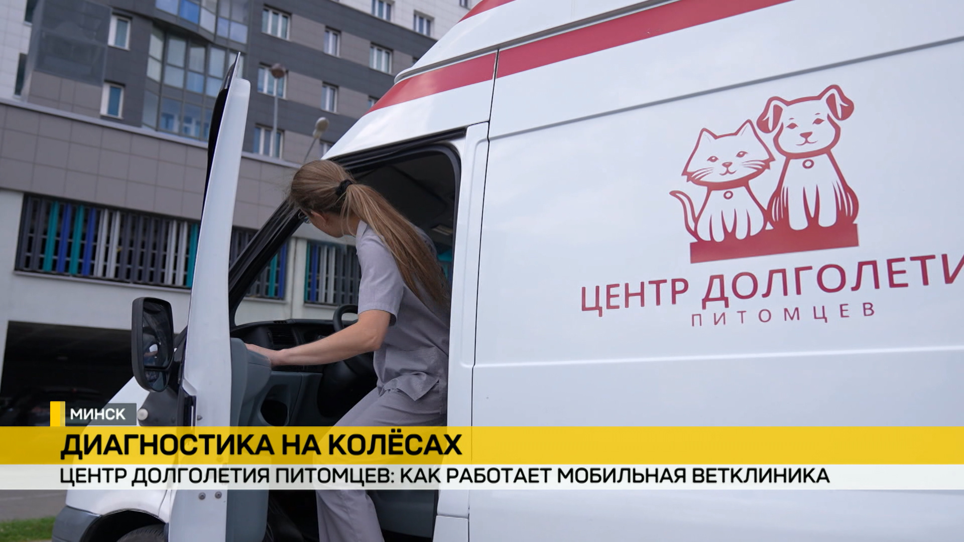 В Беларуси работает центр долголетия домашних питомцев